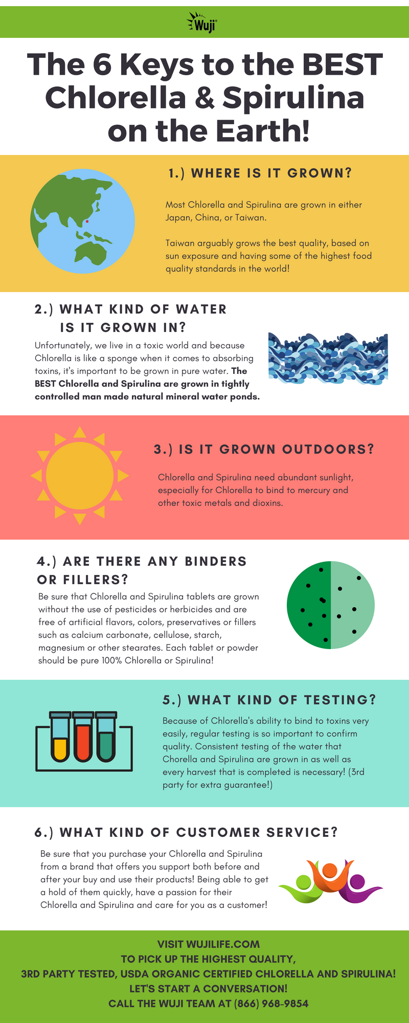 The 6 Keys to the Best Chlorella and Spirulina on Earth!