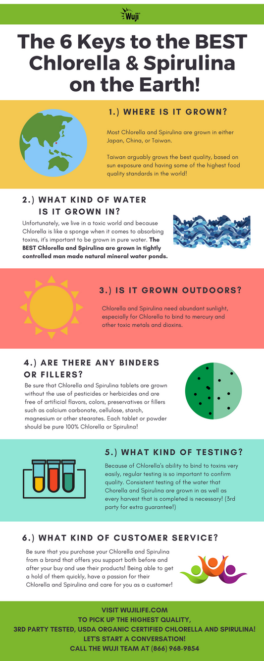 The 6 Keys to the Best Chlorella and Spirulina on Earth!