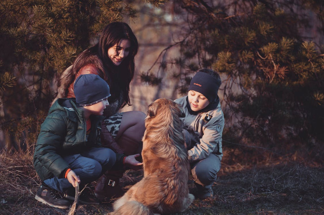 Maternal Instinct