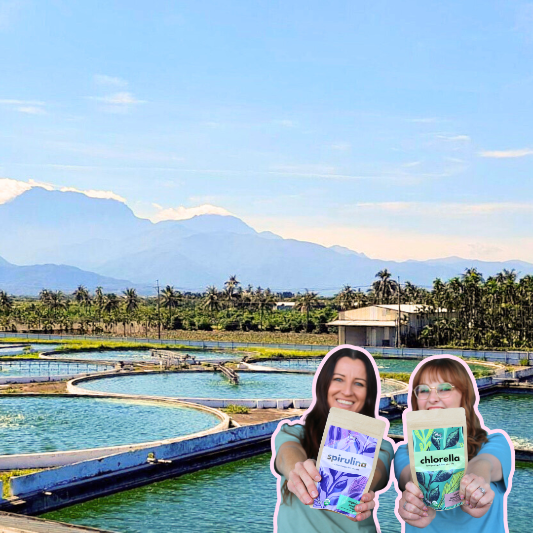 Wuji Organic Chlorella