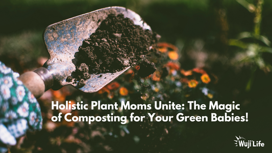 Holistic Plant Moms Unite: The Magic of Composting for Your Green Babies!