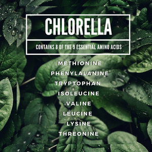 Essential Amino Acids in Chlorella