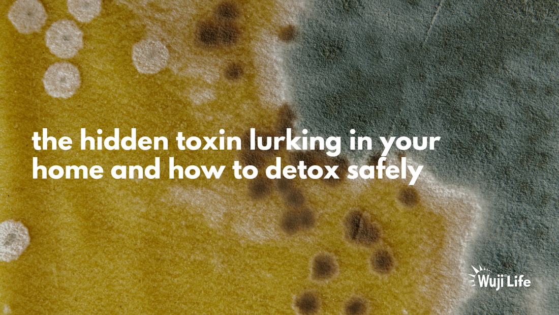 The Hidden Toxin: Reclaiming Your Space and Health from Mold