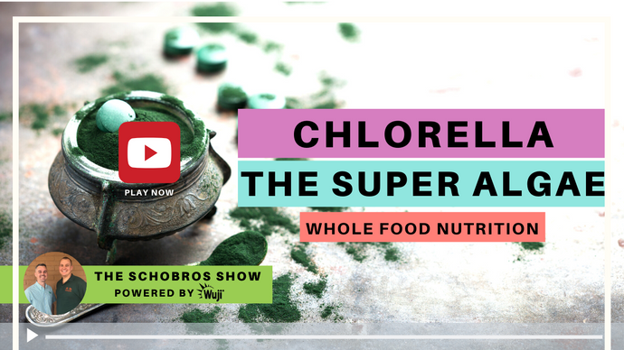 The SchoBros Show EP 9 - Chlorella
