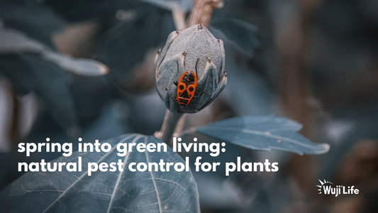 Spring into Green Living: Natural Pest Control for Plants